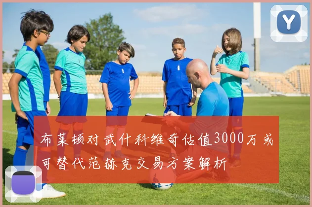 布莱顿对武什科维奇估值3000万或可替代范赫克交易方案解析