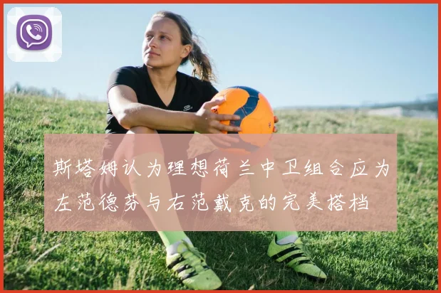 斯塔姆认为理想荷兰中卫组合应为左范德芬与右范戴克的完美搭档